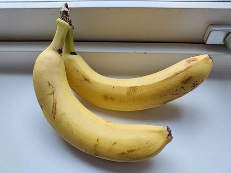 Grabación con la cámara principal