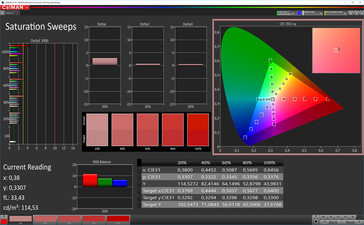 Saturación de color CalMan (espacio de color de destino sRGB), perfil: simple