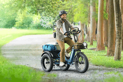 El e-trike Rottweiler de Puckipuppy cuenta con un sistema de suspensión total (Fuente de la imagen: Puckipuppy)