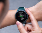 El Vivoactive 6 ha recibido tres actualizaciones con los mismos cambios en las últimas semanas. (Fuente de la imagen: Garmin)