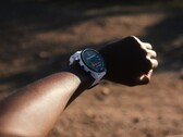 El Garmin Forerunner 955 ha recibido la actualización de la versión beta pública 16.09. (Fuente de la imagen: Garmin)