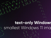 El desarrollador de Tiny11 reduce Windows 11 a su mínima expresión (Fuente de la imagen: NTDev)