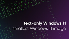 El desarrollador de Tiny11 reduce Windows 11 a su mínima expresión (Fuente de la imagen: NTDev)