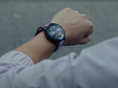 La serie Forerunner 165 se presenta en dos variantes y un total de seis SKU. (Fuente de la imagen: Garmin)
