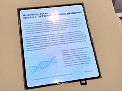 La pantalla plegable sin pliegues de Samsung supuestamente para el próximo Galaxy Z Fold 8. 