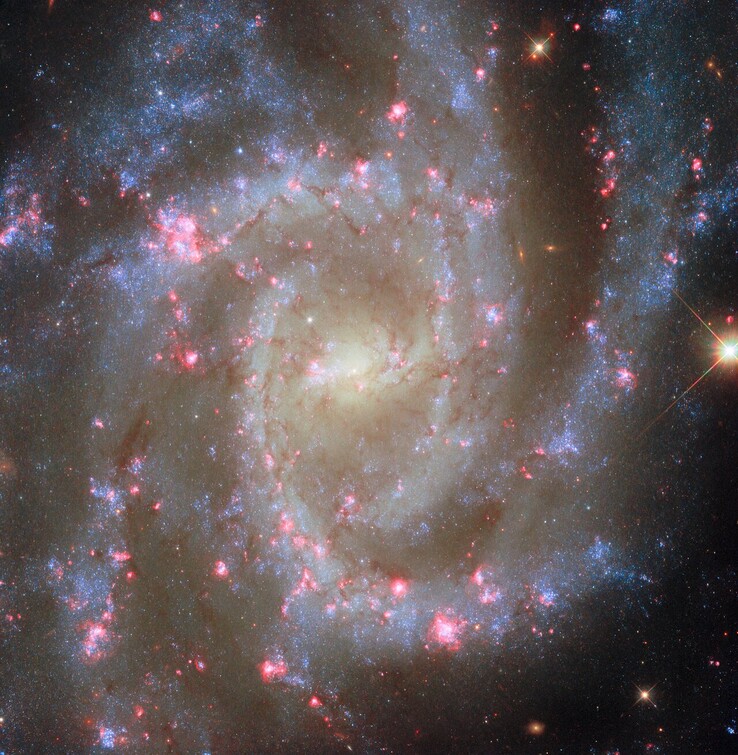 La imagen POTW de NGC 2835 (Fuente de la imagen: ESA, NASA, R. Chandar, J. Lee y el equipo PHANGS-HST)