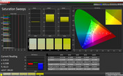 CalMAN Standard saturación