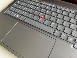 El panel táctil háptico opcional no cuenta con botones TrackPoint dedicados.