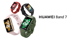 La Huawei Band 7 estará disponible en cuatro colores, todos ellos con una carcasa más fina y ligera que la Band 6. (Fuente de la imagen: Huawei)
