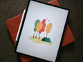 iPadOS 15.4 se está desplegando ya en varios iPad, incluido el iPad Pro 11. (Fuente de la imagen: Tony Sebastian)