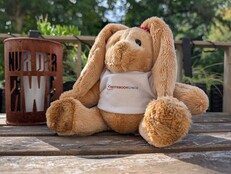 Google Pixel 10 Pro: Foto de muestra