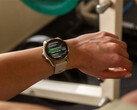 El Fenix 8 es uno de los varios smartwatches en línea para una actualización estable v17.xx. (Fuente de la imagen: Garmin)