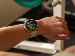 El Fenix 8 es uno de los varios smartwatches en línea para una actualización estable v17.xx. (Fuente de la imagen: Garmin)