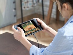 La Nintendo Switch 2 no ofrece un HDR convincente en modo portátil. (Fuente de la imagen: Nintendo)
