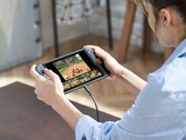 La Nintendo Switch 2 no ofrece un HDR convincente en modo portátil. (Fuente de la imagen: Nintendo)