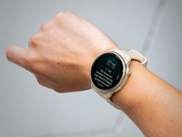 Los smartwatches Venu X1 y vivoactive 6 (en la imagen) de Garmin han recibido una nueva actualización beta. (Fuente de la imagen: Garmin)