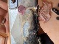 El OnePlus Nord 2 destruido en cuestión. (Imagen: @suhitrulz/Twitter)