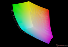 frente a Adobe RGB: 90,4% de cobertura