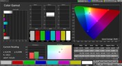 Espacio de color CalMAN sRGB - pantalla externa