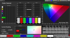 CalMAN - Espacio de color (sRGB)