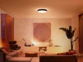 El puente Philips Hue Bridge ya es compatible con las próximas escenas "Todo el día". (Fuente de la imagen: Philips Hue)