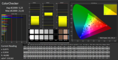 CalMAN - Color Checker (calibrado)