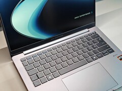 Asus ExpertBook PM3 (fuente de la imagen: Notebookcheck)