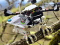 El primer dron SNAG que puede posarse en los árboles como un pájaro tiene patas de halcón impresas en 3D