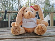 Honor Magic7 Pro: Foto de muestra