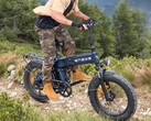 Motor Pro 3.0 Boost: Una e-bike plegable que también es apta para su uso fuera de carretera. (Fuente de la imagen: Engwe)