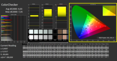 CalMAN - Color Checker