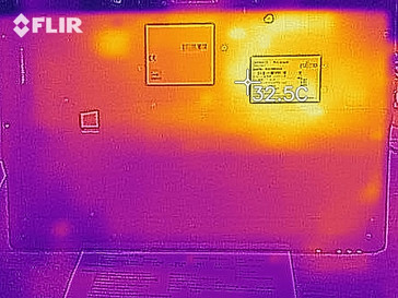 La distribución del calor en la parte inferior (en reposo)