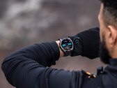 El Fenix E y el Fenix 8 son los primeros smartwatches Fenix que incorporan pantallas AMOLED. (Fuente de la imagen: Garmin)