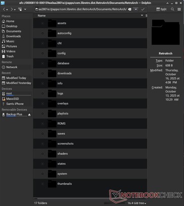 Incluso tiene acceso a los archivos de aplicaciones específicas, como RetroArch. 