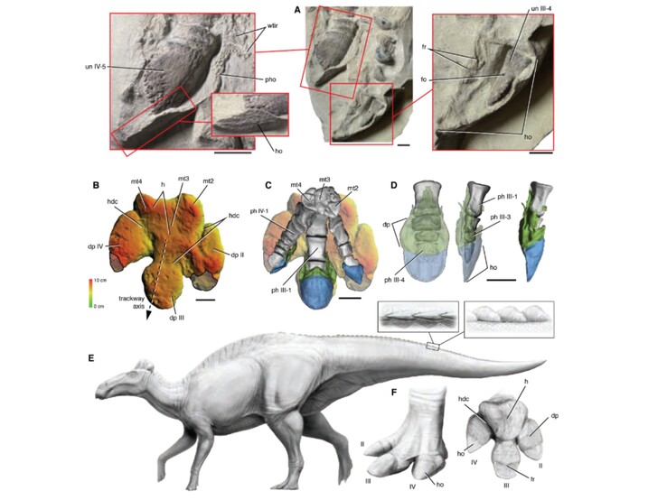 (Fuente de la imagen: Science.org)