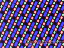 Matriz de subpíxeles OLED. El granulado es difícil de mostrar en cámara