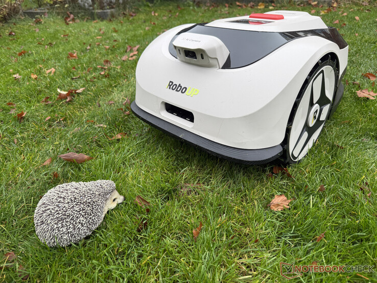 El Raccoon 2 SE no siempre reconoció a nuestro muñeco erizo en la prueba