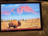 El Microsoft Surface Pro 8 probablemente tendrá un diseño externo sin cambios (Fuente de la imagen: Reddit)
