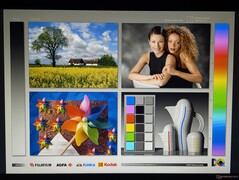 Amplios ángulos de visión IPS