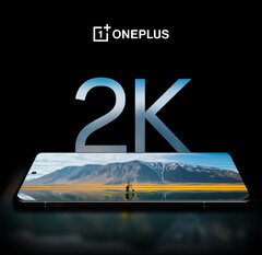 Se dice que el OnePlus 12 tiene la mejor pantalla de smartphone que existe, al menos según OnePlus. (Fuente de la imagen: OnePlus)