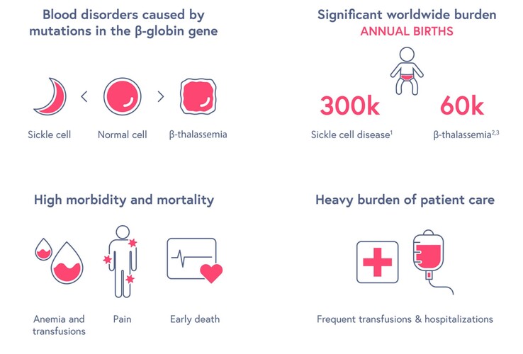 Visión general de la anemia falciforme. (Fuente: CRISPR Therapeutics)