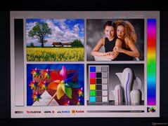 Amplios ángulos de visión de la pantalla OLED