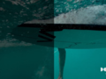 Algunos fans de Vimeo ya pueden acceder a esta actualización. (Fuente: Vimeo)