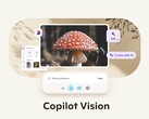 Microsoft Copilot Vision en Windows con Highlights permite a la IA de Copilot ver e interactuar con información y aplicaciones visibles. (Fuente de la imagen: Microsoft)