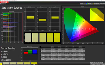 CalMAN: Saturación de color – Perfil adaptativo