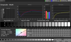 Escala de grises (perfil: Profesional, espacio de color de destino: sRGB)