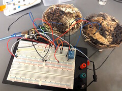 Se acoplaron dos células de memoria en forma de seta a una placa de desarrollo de microcontroladores Arduino UNO para realizar pruebas. (Fuente de la imagen: LaRocco, J. et al. vía PLOS One)