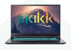 SKIKK ya ofrece SKUs con la Nvidia GeForce RTX 2080 Super GPU. (Fuente de la imagen: SKIKK)