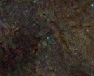 Una imagen compuesta que muestra una sección del medio interestelar radiografiada en busca de azufre (Fuente de la imagen: DSS, DECaPS, eRosita y NASA; recortada)