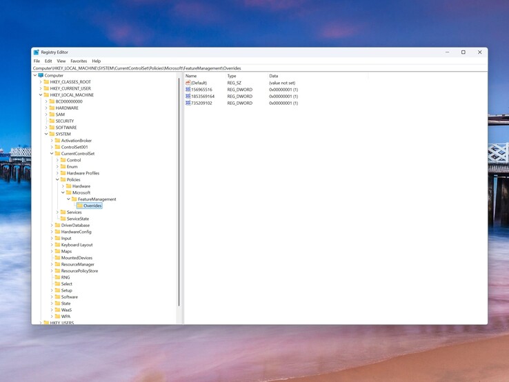 Así es como queda la ruta de registro correspondiente después de añadir las tres entradas.